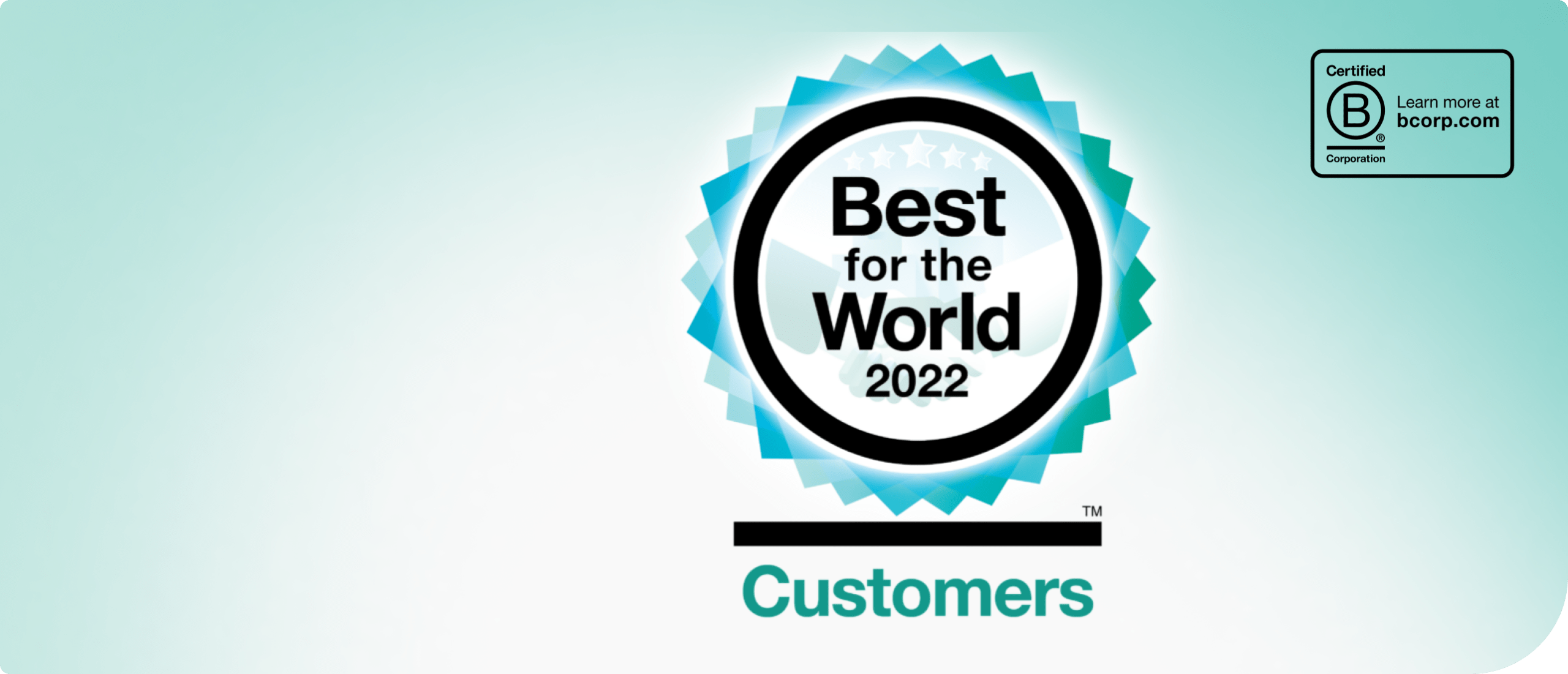 Delft Imaging, B Corp Certified — Best for the World 2021, Customers category.