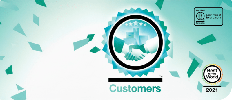 Delft Imaging, B Corp Certified — Best for the World 2021, Customers category.