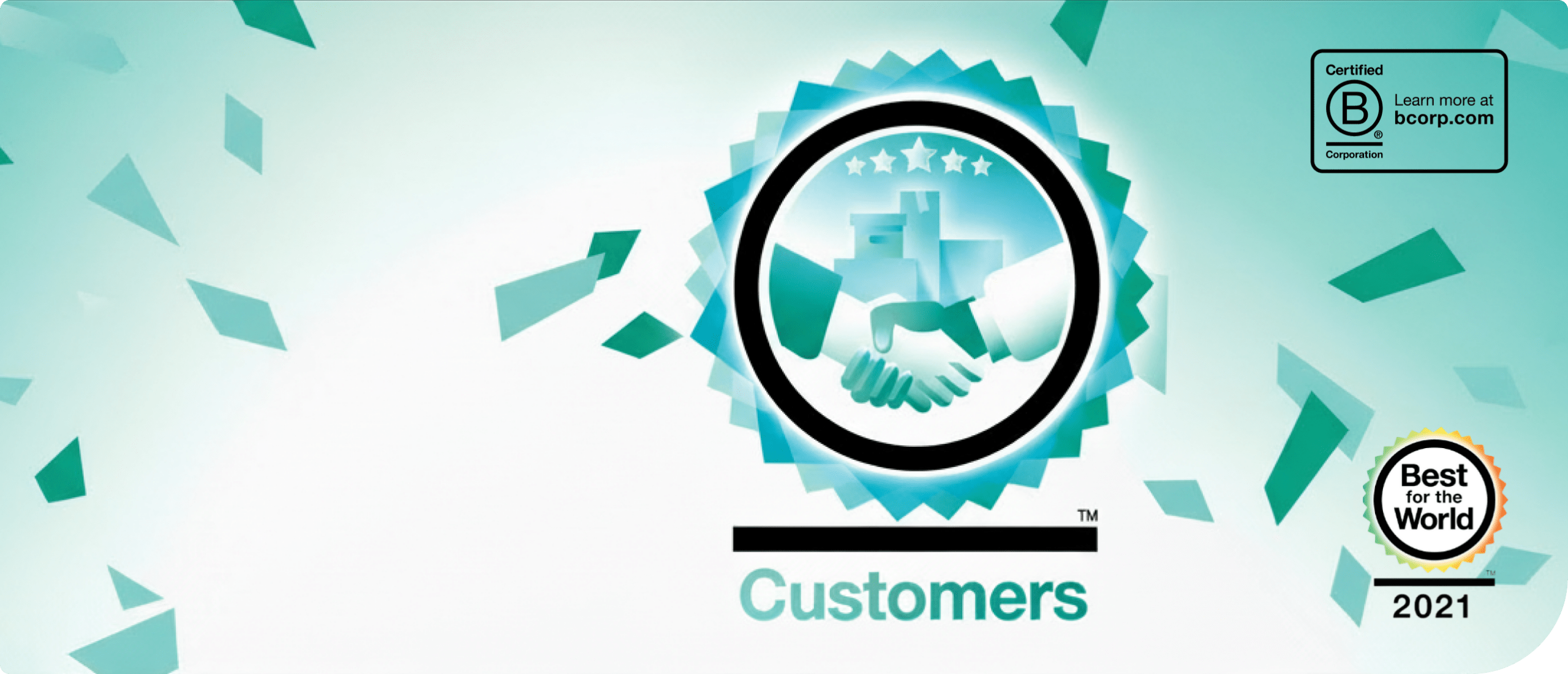 Delft Imaging, B Corp Certified — Best for the World 2021, Customers category.