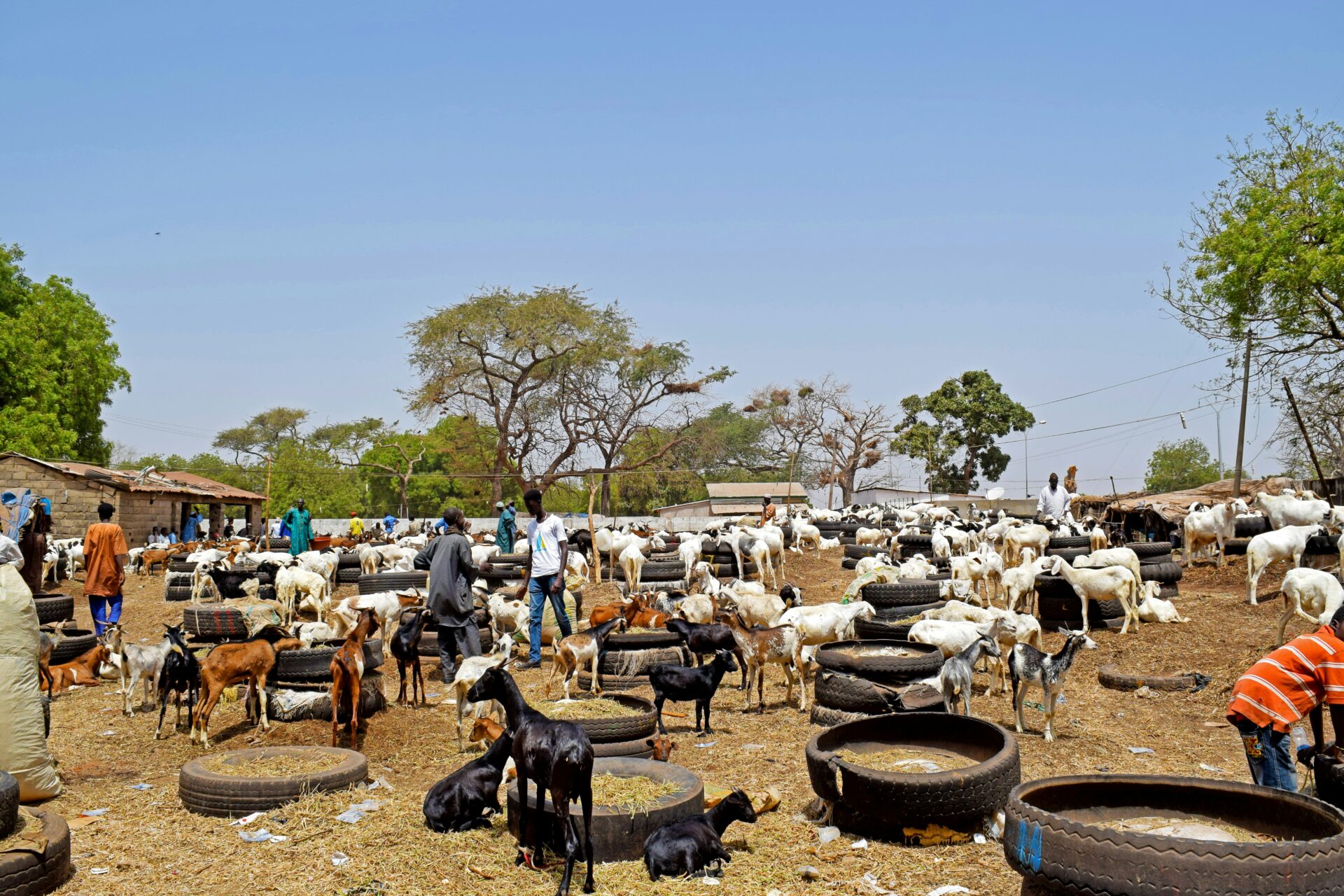 Gambia country page cover